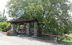 La taverna di Elide